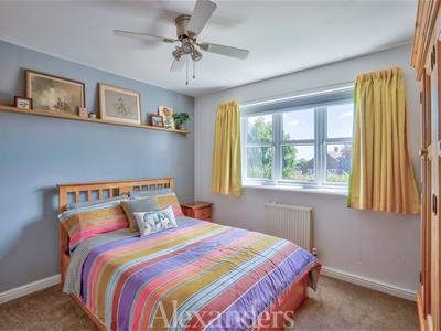 Picture 11